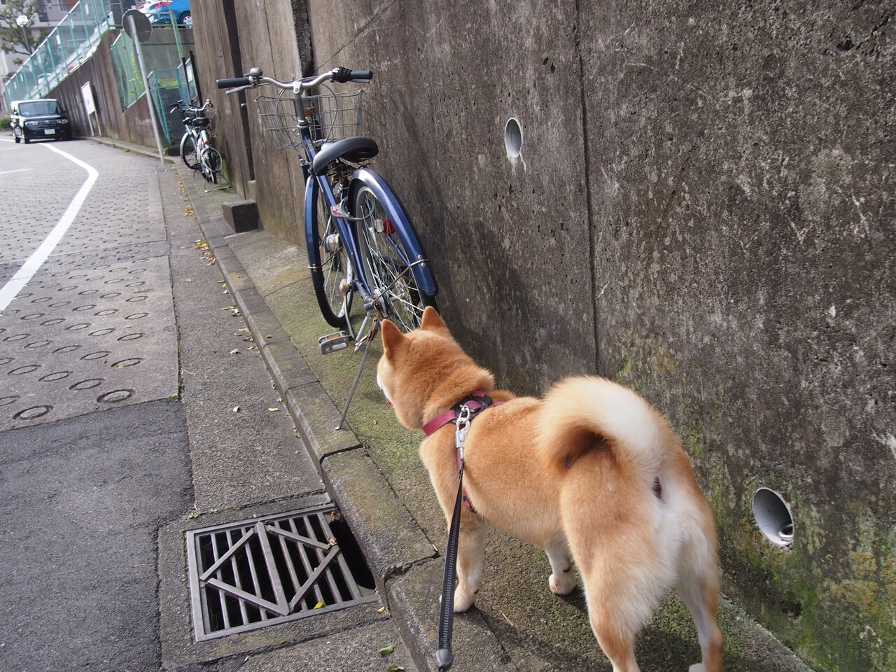 电竞场馆建设提速，推动线下赛事发展，电竞比赛场馆