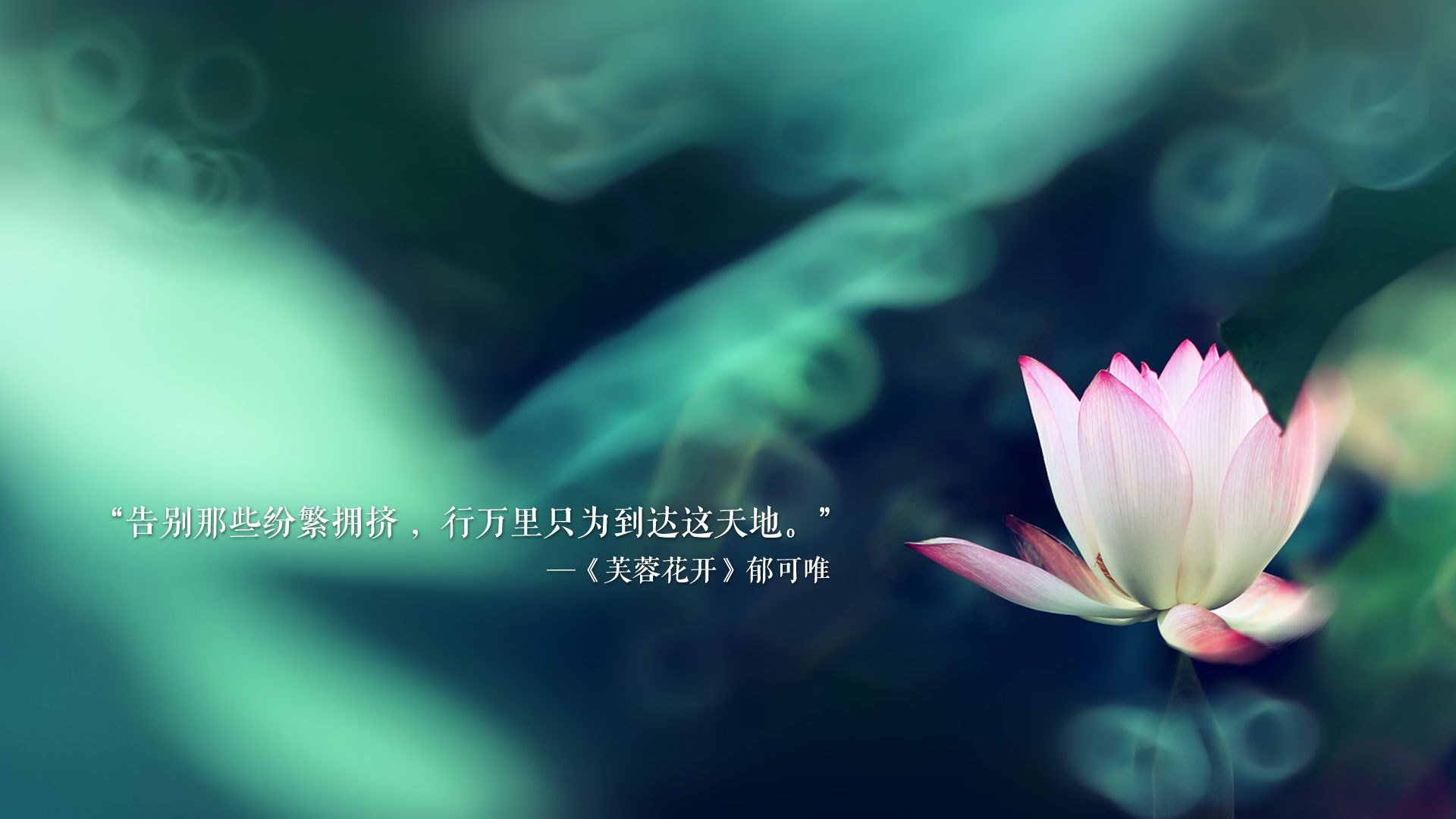开云网页版登录入口-巴西女足逆转晋级，下轮挑战法国，巴西队女足