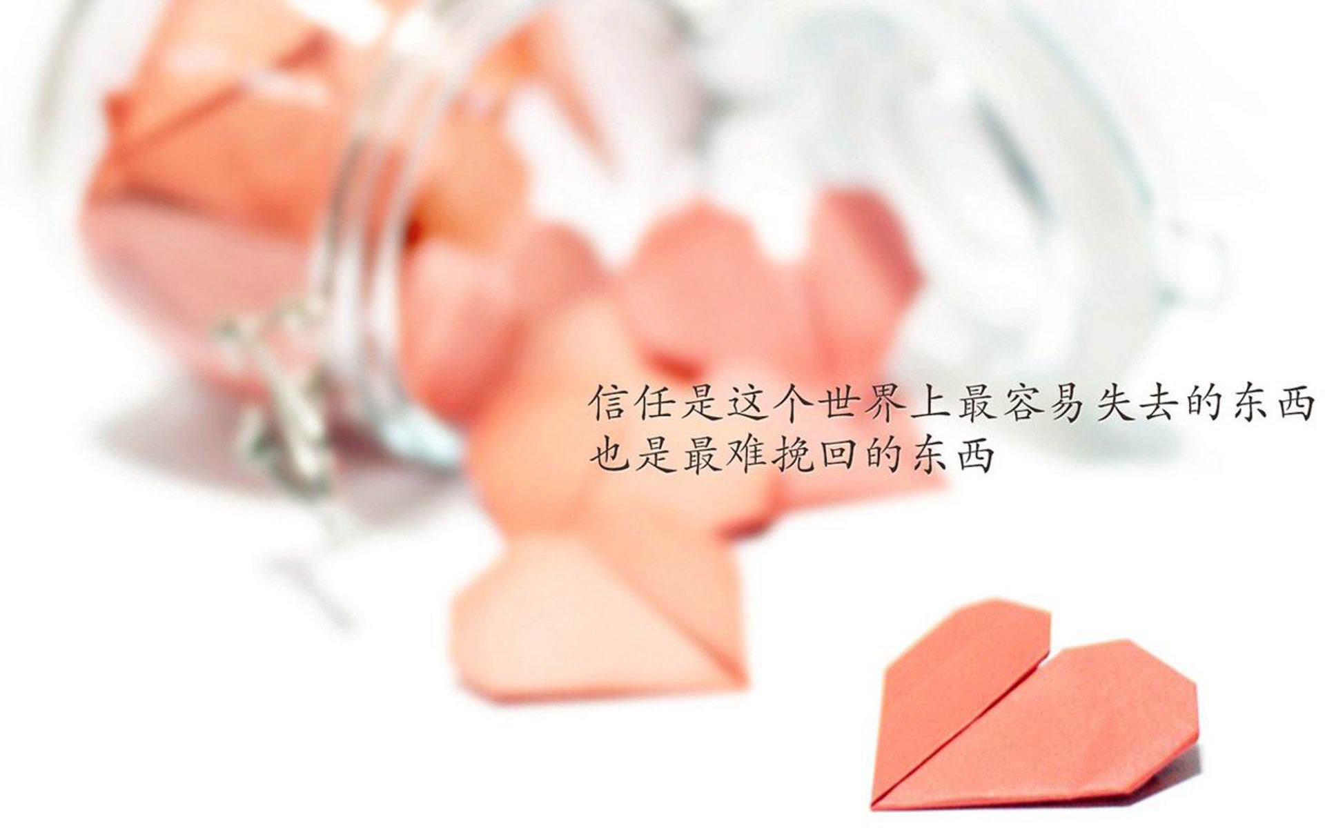 开云网站-比利时队在足球赛事中取得巨大胜利，比利时队赢了吗
