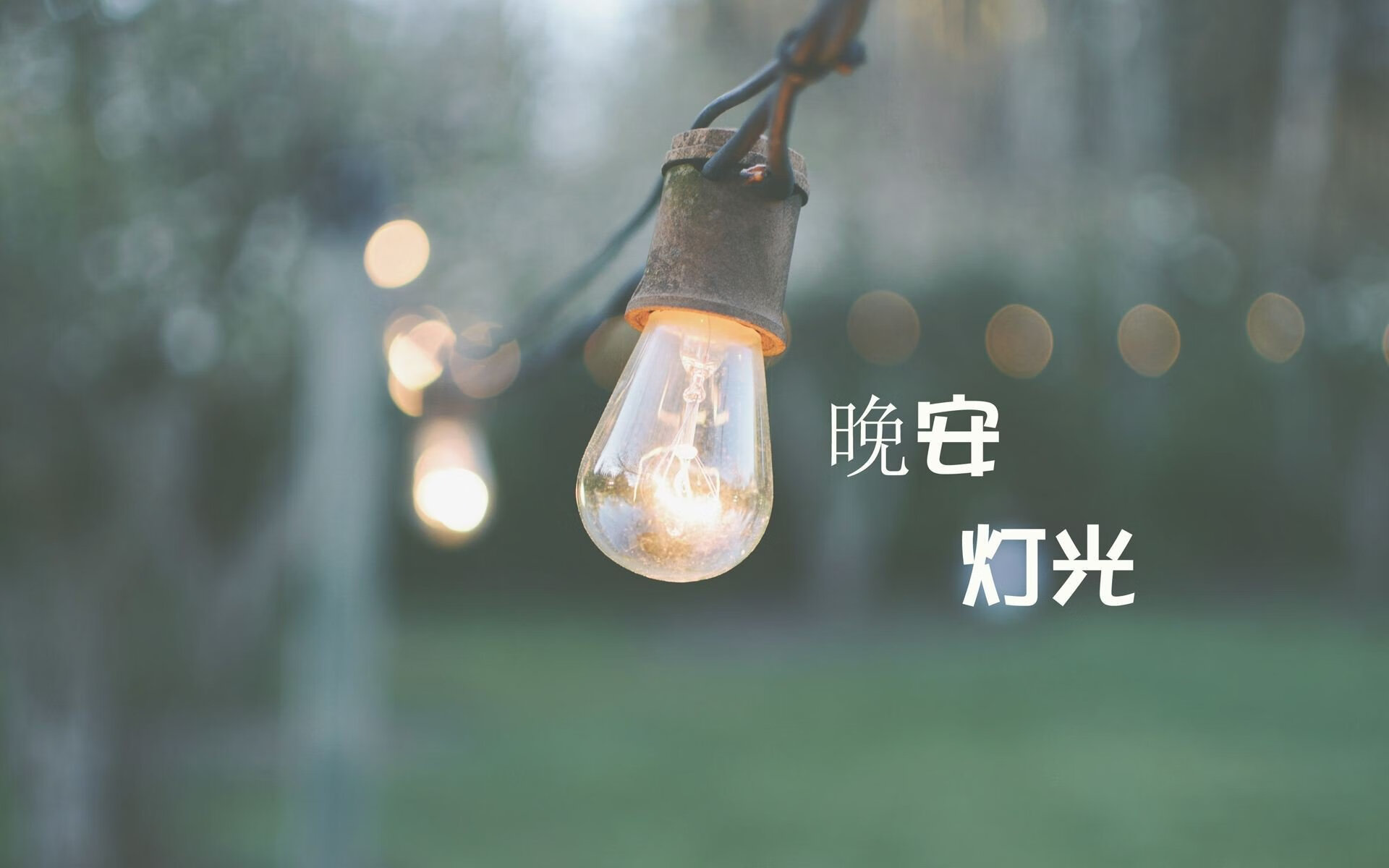 高校运动会组织效率改进报告，运动会改进建议