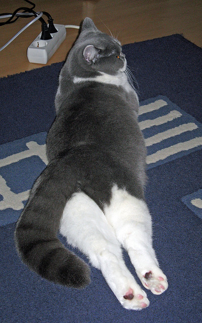 亚洲杯中国青年队晋级 球迷支持青年力量,中国足球亚青赛