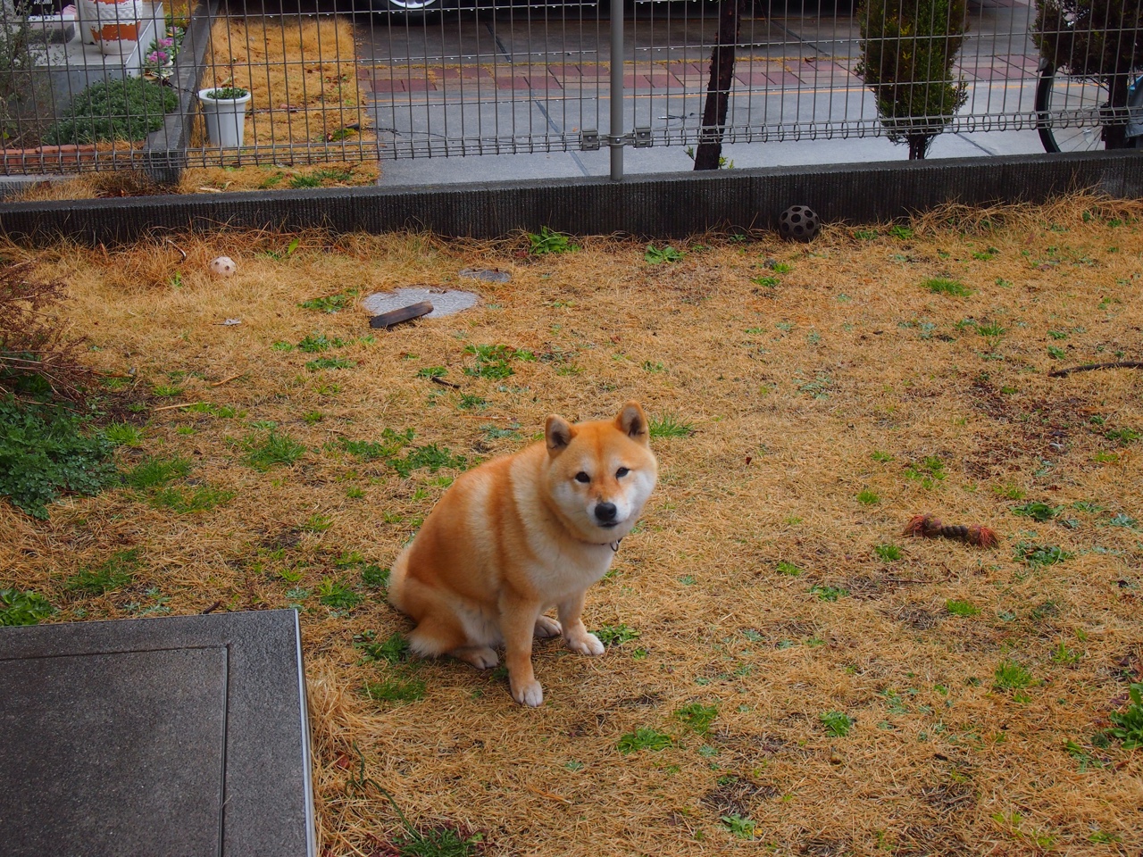 天府新区：湖滨赛场点燃全民运动热情，淮南未来高铁线路规划