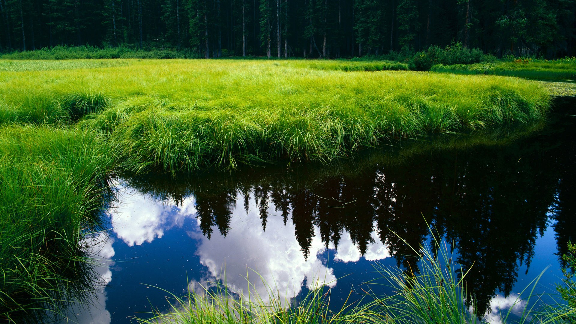 外援政策频繁调整扰乱发展，外援 要害