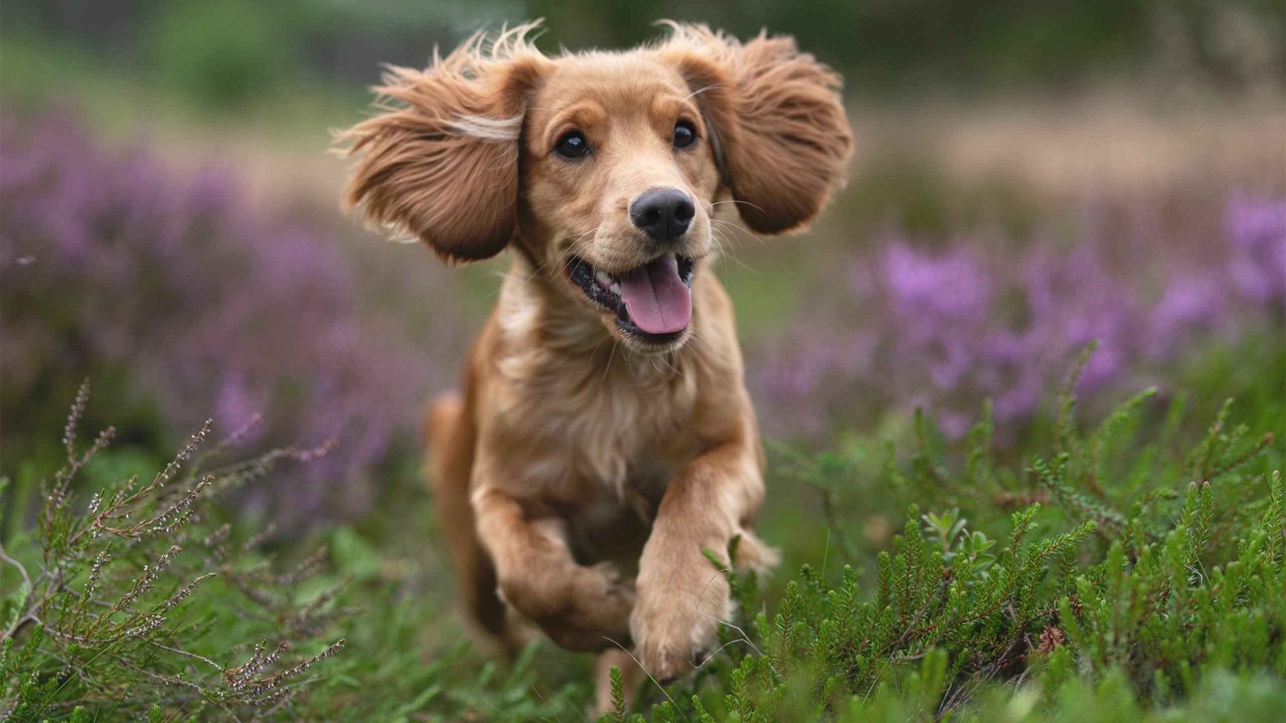 世界杯战场火热：每一场都精彩纷呈！，世界杯那场