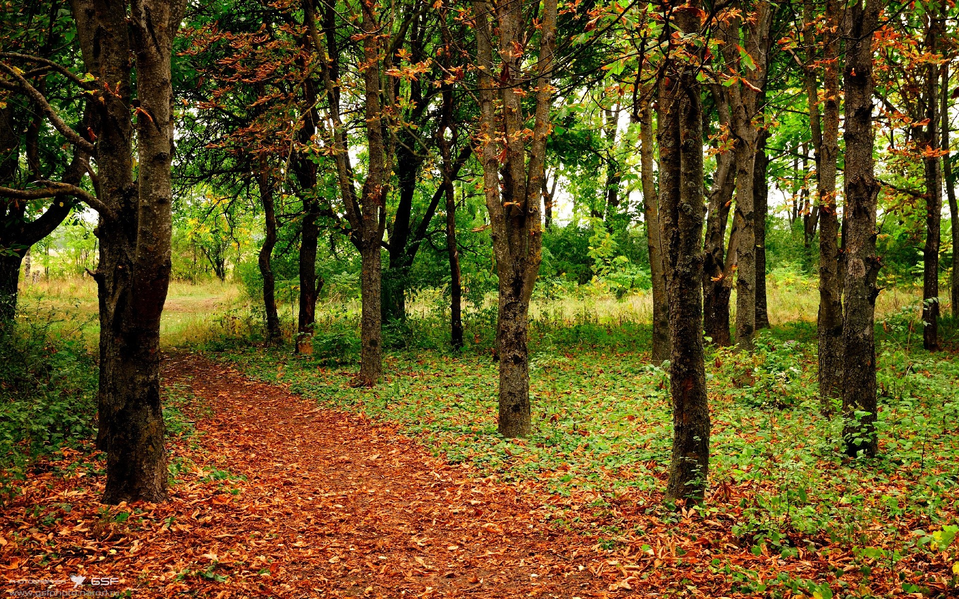 世界杯战场火热：每一场都精彩纷呈！，世界杯那场