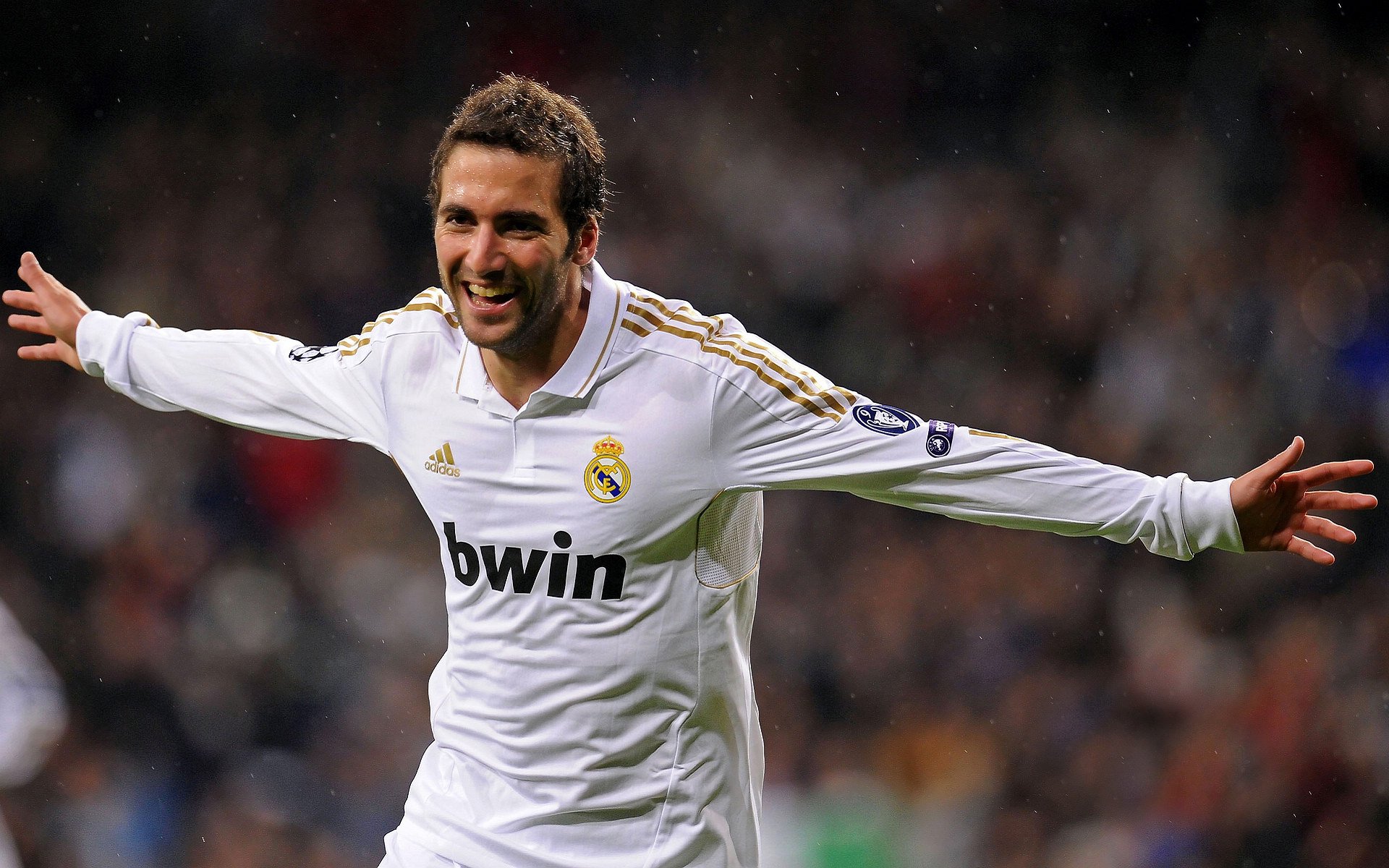 背后故事：冠军车队的幕后支撑力量，车队冠军和车手冠军